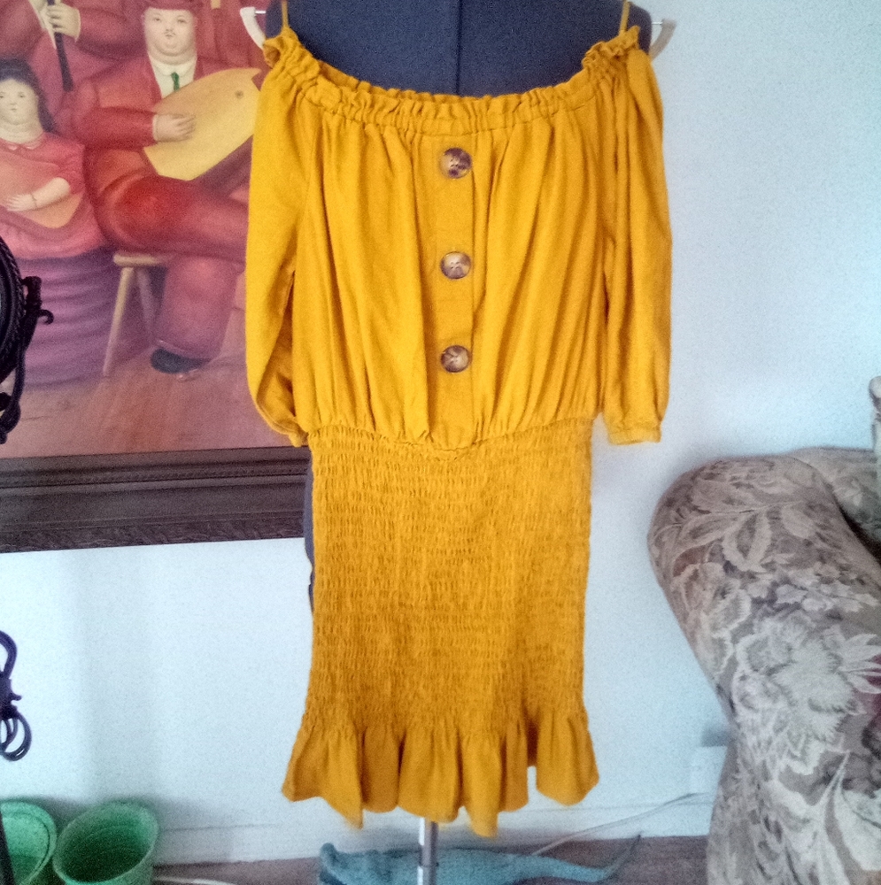 NWOT Zara Off Shoulder Puff Sleeve Mini Top